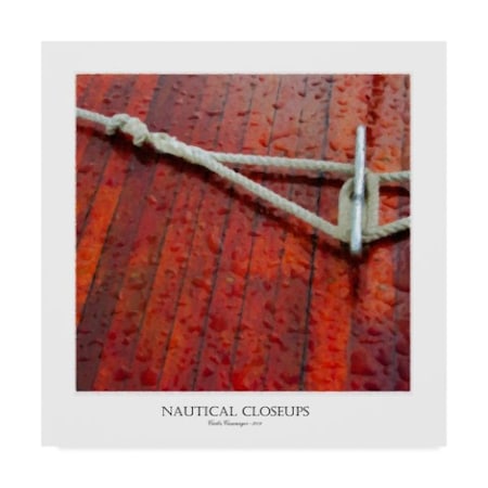 Carlos Casamayor 'Nautical Closeups 12' Canvas Art,14x14 -  TRADEMARK FINE ART, ALI40600-C1414GG